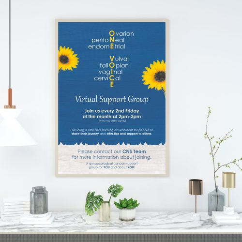 NHS Gynaecology, Poster